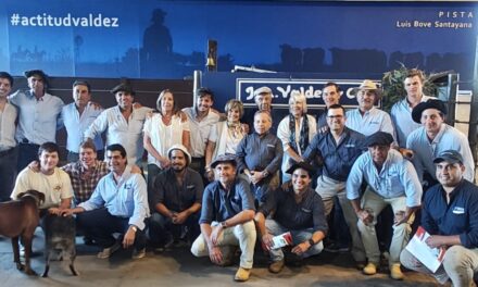 Cabaña El Piramidal: Un remate 10 puntos