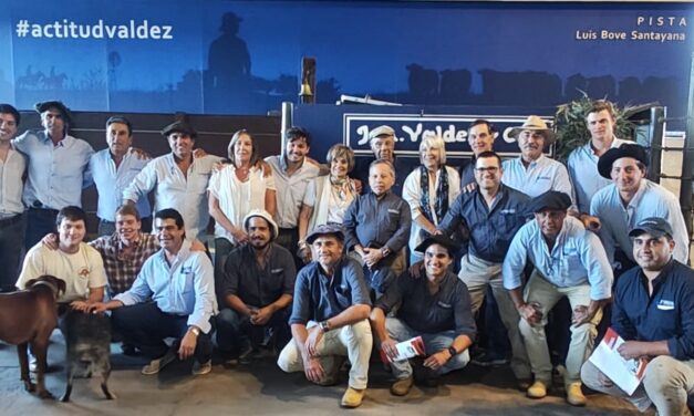 Cabaña El Piramidal: Un remate 10 puntos