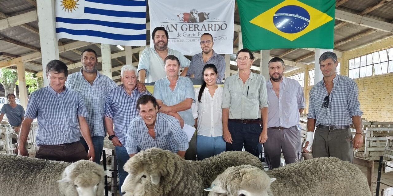 Muy buen remate de San Gerardo en la Rural de Tacuarembó