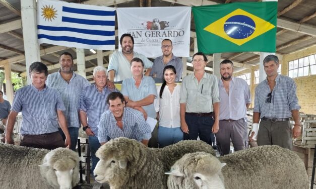 Muy buen remate de San Gerardo en la Rural de Tacuarembó