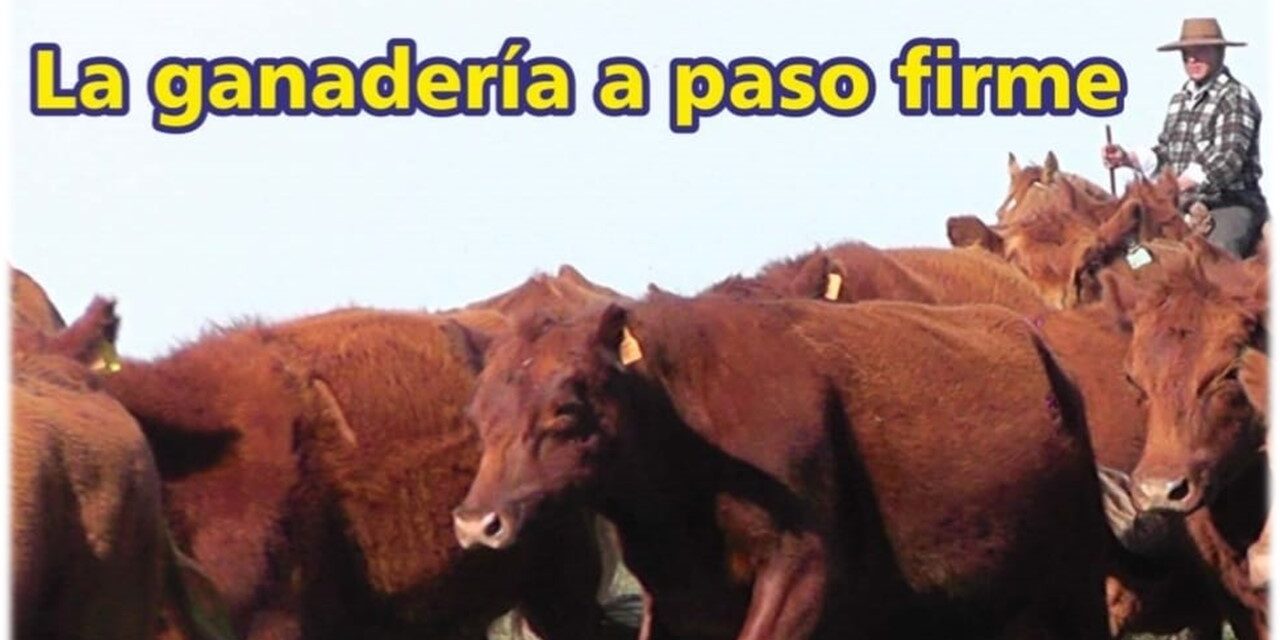 Palenque Rural: la ganadería a paso firme