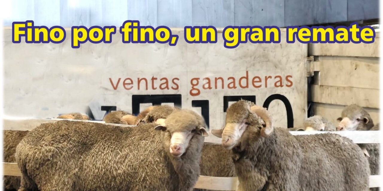 Palenque Rural: fino por fino