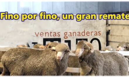 Palenque Rural: fino por fino