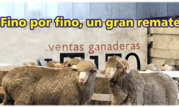 Palenque Rural: fino por fino