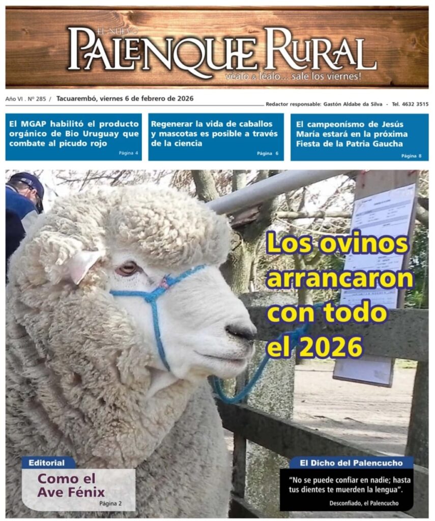 imagen de la tapa de El Palenque Rural: los ovinos arrancaron con todo el 2026.