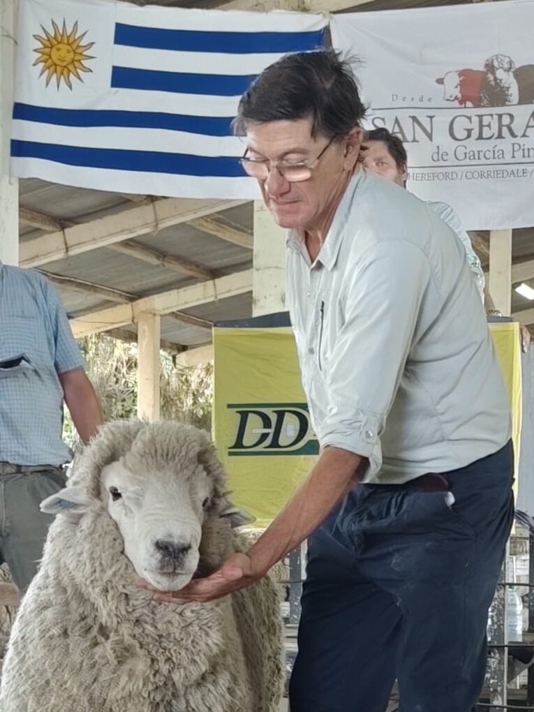 IMAGEN DE GERARDO GARCÍA PINTOS CON UN CARNERO, Muy buen remate de cabaña San Gerardo en la Rural de Tacuarembó.