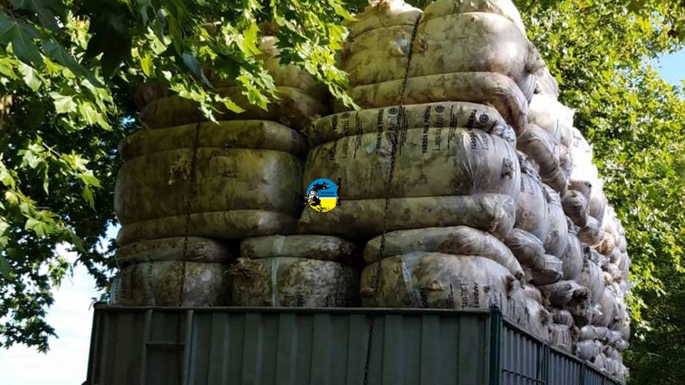 IMAGEN DE LANA, Esta semana en el mercado local se comercializaron 192.900 kilos de lana