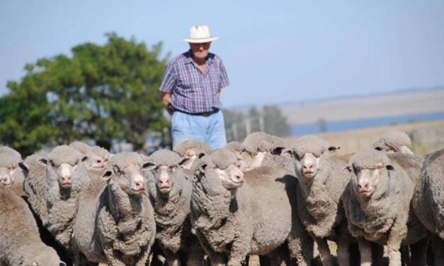 El Arazá apronta su remate con una oferta de “animales espectaculares»