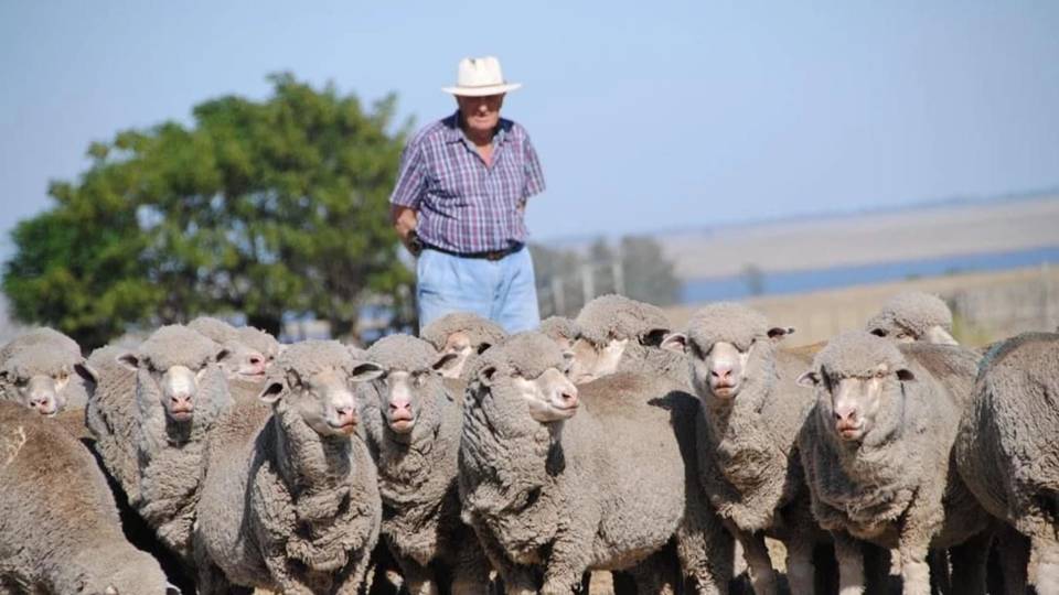 El Arazá apronta su remate con una oferta de “animales espectaculares»