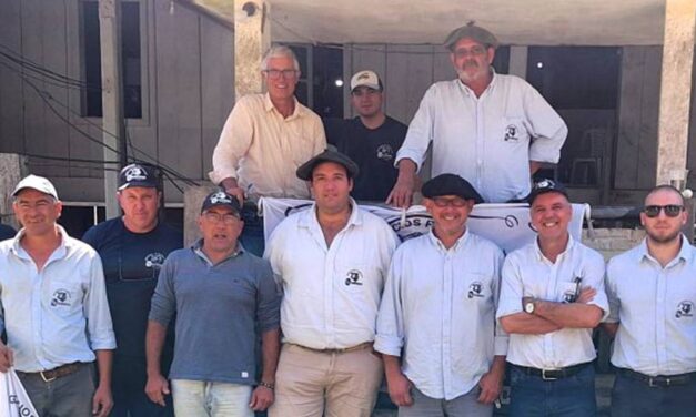 Feria en Curtina: un promedio excepcional de 742 dólares