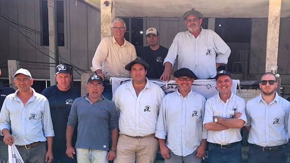 Feria en Curtina: un promedio excepcional de 742 dólares