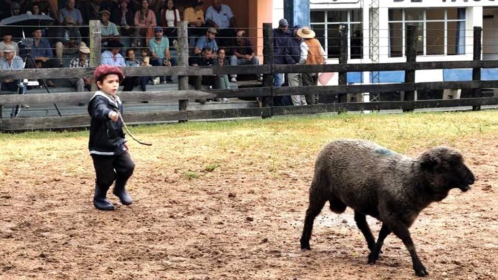 IMAGEN DE UN NIÑO CORRIENDO UNA OVEJA EN UNA FERIA GANADERA, Los niños también se divierten intentando «ayudar» a los mayores en las ferias.