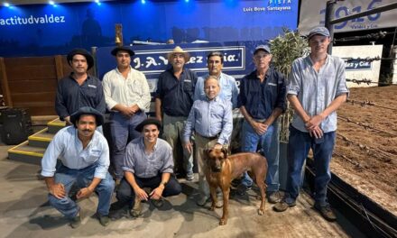 Don Tito: Buen remate con buenas ventas
