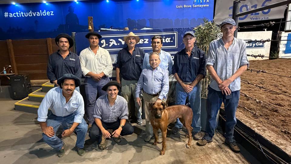 Don Tito: Buen remate con buenas ventas