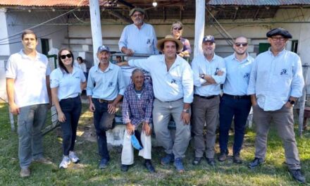 Ernesto Esteves & Cía. en Zapará vendió más de 1.000 lanares