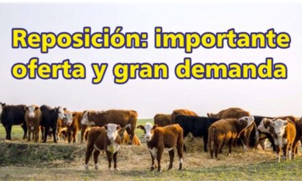 Palenque Rural: la reposición con importante oferta