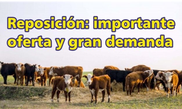 Palenque Rural: la reposición con importante oferta