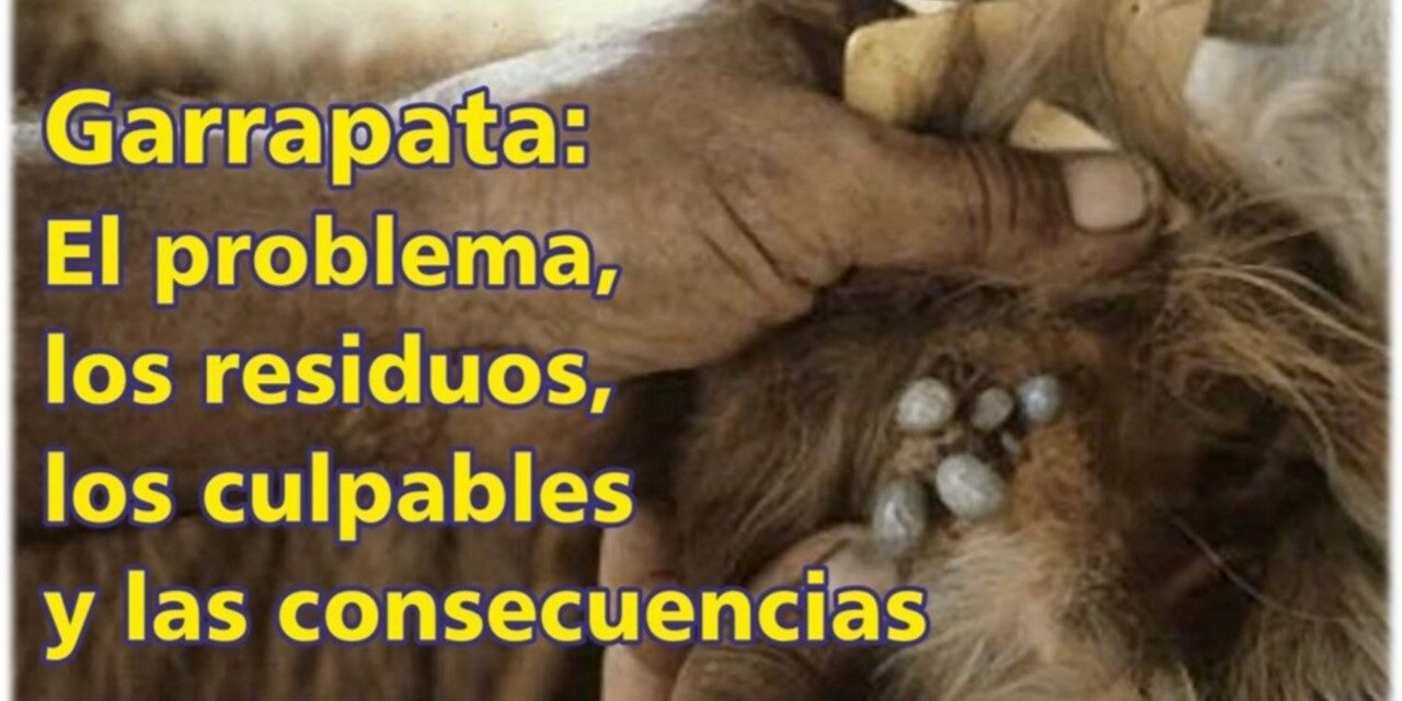 Garrapata: el problema, los residuos, los culpables y las consecuencias