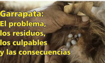 Garrapata: el problema, los residuos, los culpables y las consecuencias