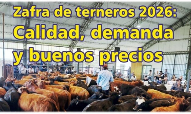 Palenque Rural: zafra de terneros 2026