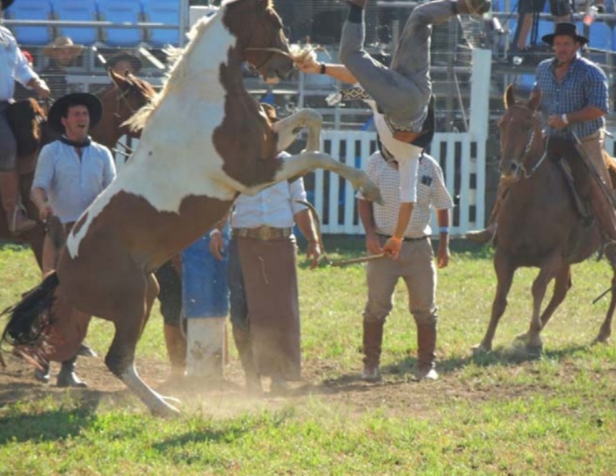 El jinete voló por los aires, en una escena de las tantas criollas que se realizan en el país.