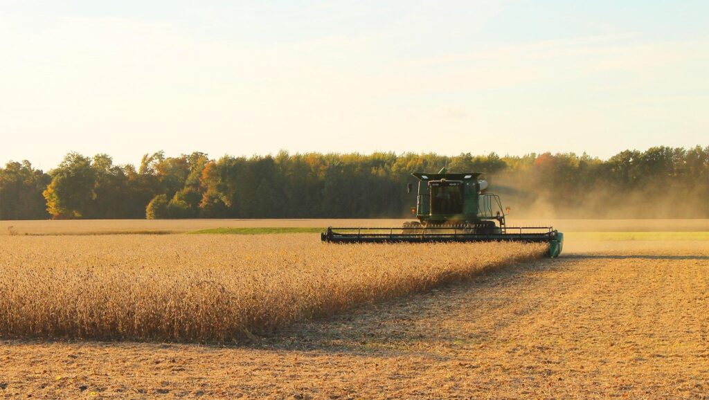IMAGEN DE COSECHA, El mercado granelero, como todos sabemos, tiene dos rubros realmente importantes para la agricultura de nuestro país y del mundo: la soja y el maíz.