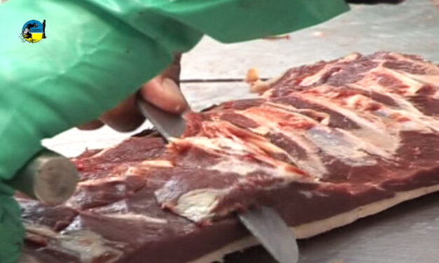 Faena bovina fue de 39.654 cabezas