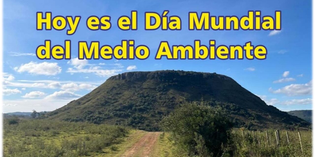 Palenque Rural: hoy es el Día Mundial del Medio Ambiente