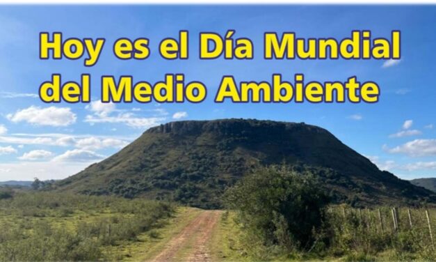 Palenque Rural: hoy es el Día Mundial del Medio Ambiente