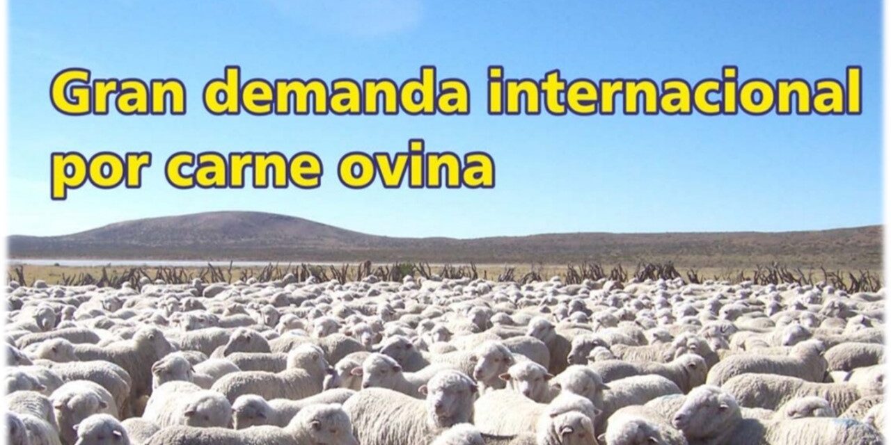 Palenque Rural: gran demanda internacional por carne ovina