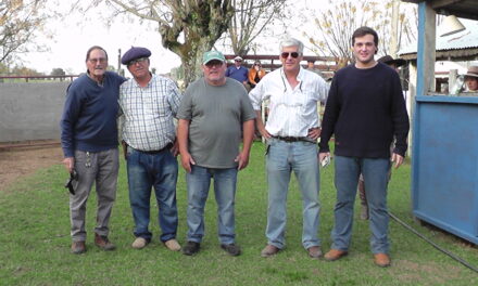 Paso Casildo: Una feria completa por donde se mire