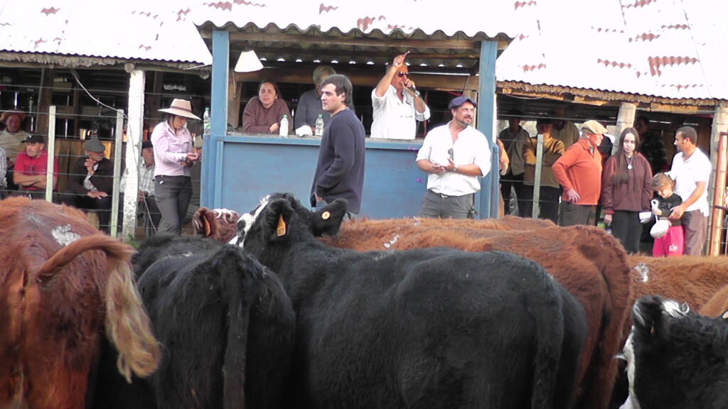 imagen de ganado en la pista de Paso Casildo: Una feria completa por donde se mire.