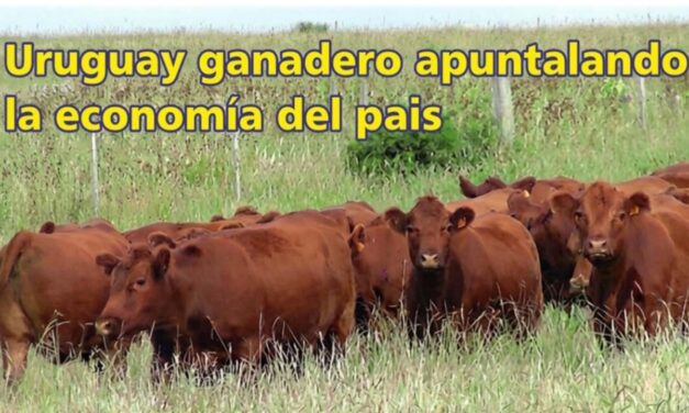 Palenque Rural: Uruguay ganadero apuntalando la economía del país