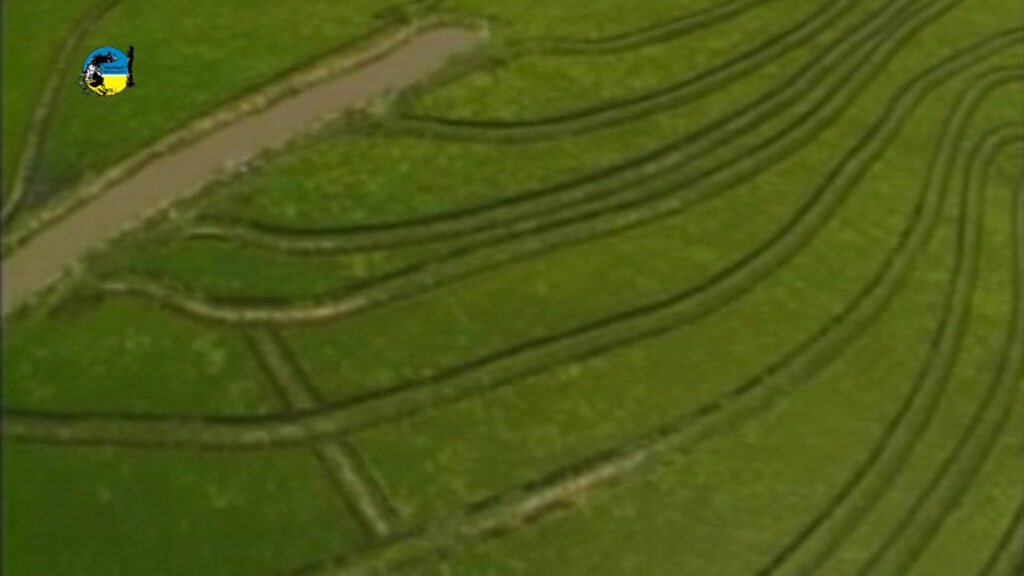 imagen de siembra de arroz, El mercado granelero nacional se encuentra actualmente enfocado en el desarrollo de las siembras de trigo, colza y cebada.