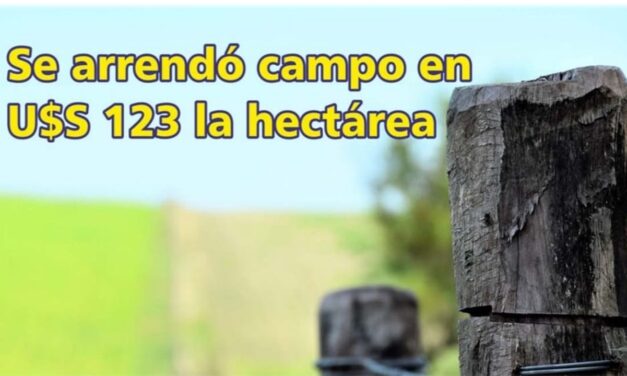 El Palenque Rural: se arrendó campo en U$S 123 la hectárea