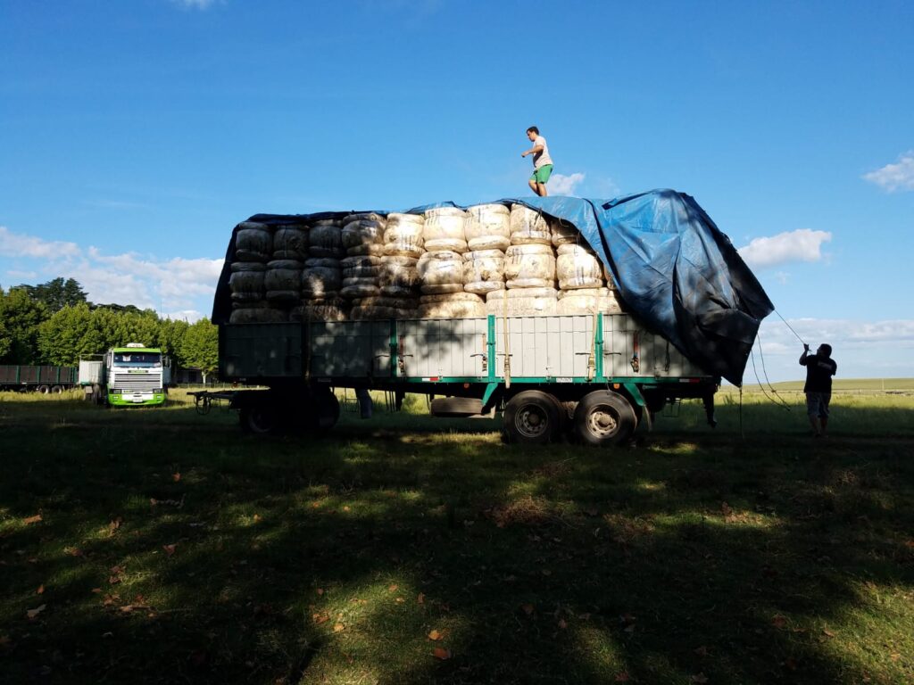 imagen de camión cargado con fardos de lana, Semana con varios negocios de lana merino en el mercado interno