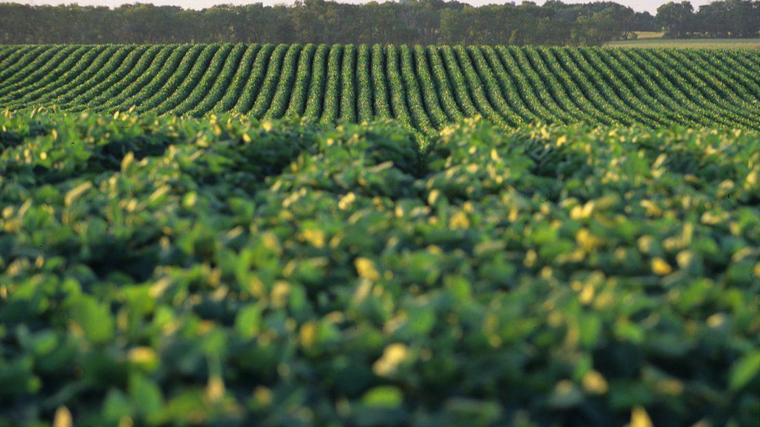 Resultados de la Encuesta Agrícola Invierno 2026