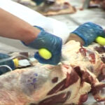 China rehabilita Frigorífico Rosario para la exportación