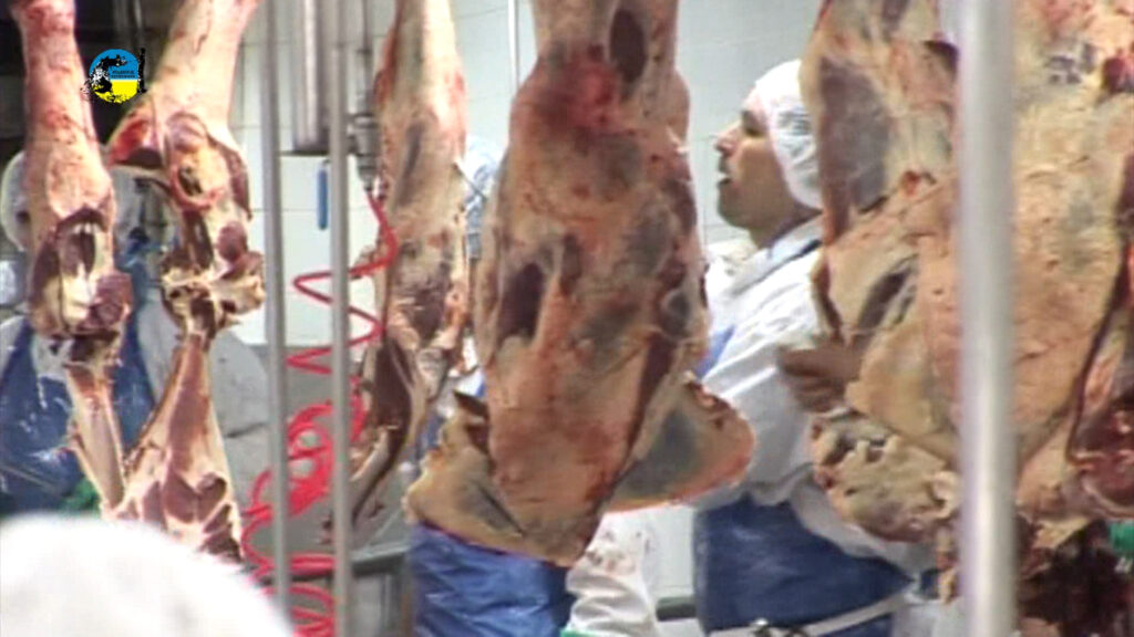 China rehabilita al Frigorífico Rosario para la exportación de productos cárnicos.