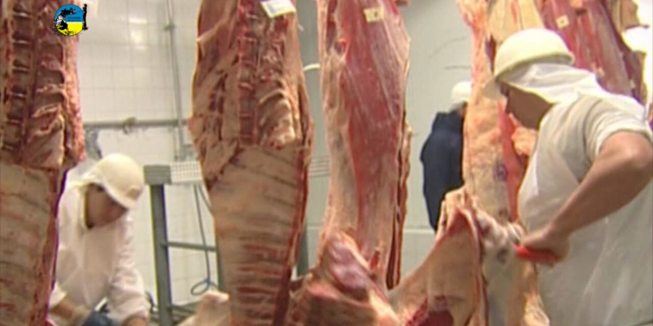 La faena bovina fue de 38.894 cabezas