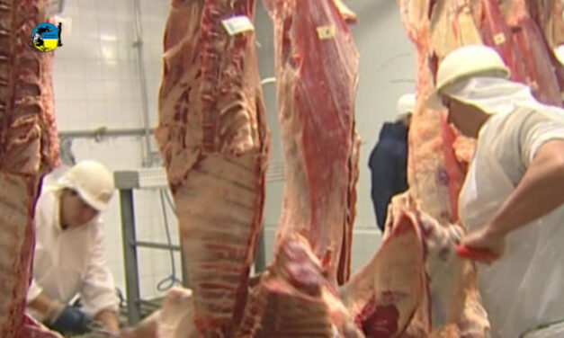 La faena bovina fue de 38.894 cabezas