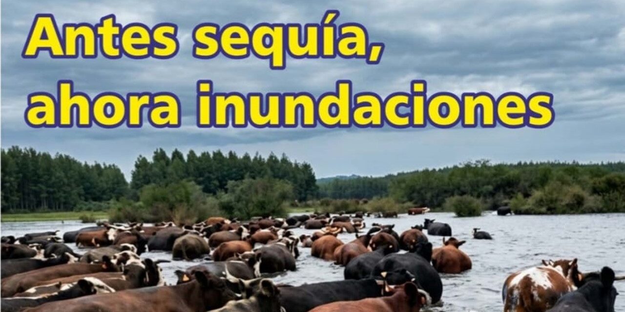 Palenque Rural: antes sequía ahora inundaciones