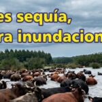 Palenque Rural: antes sequía ahora inundaciones