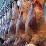Faena bovina fue de 32.994 cabezas