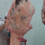 Faena bovina fue de 40.139 cabezas