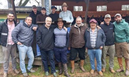 Juan José Porto con buenos valores en la Rural de Tacuarembó
