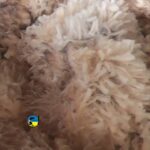 En el mercado local de lanas se vendieron lotes merino y corriedale