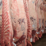 Faena bovina fue de 36.972 cabezas