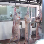 Faena bovina fue de 40.225 cabezas