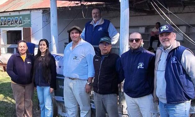Zapará: Muy buena feria de punta a punta